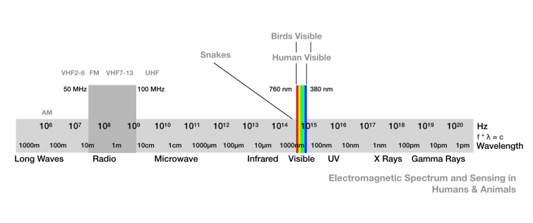 Screen Shot 2018-10-05 at 10.13.25 PM